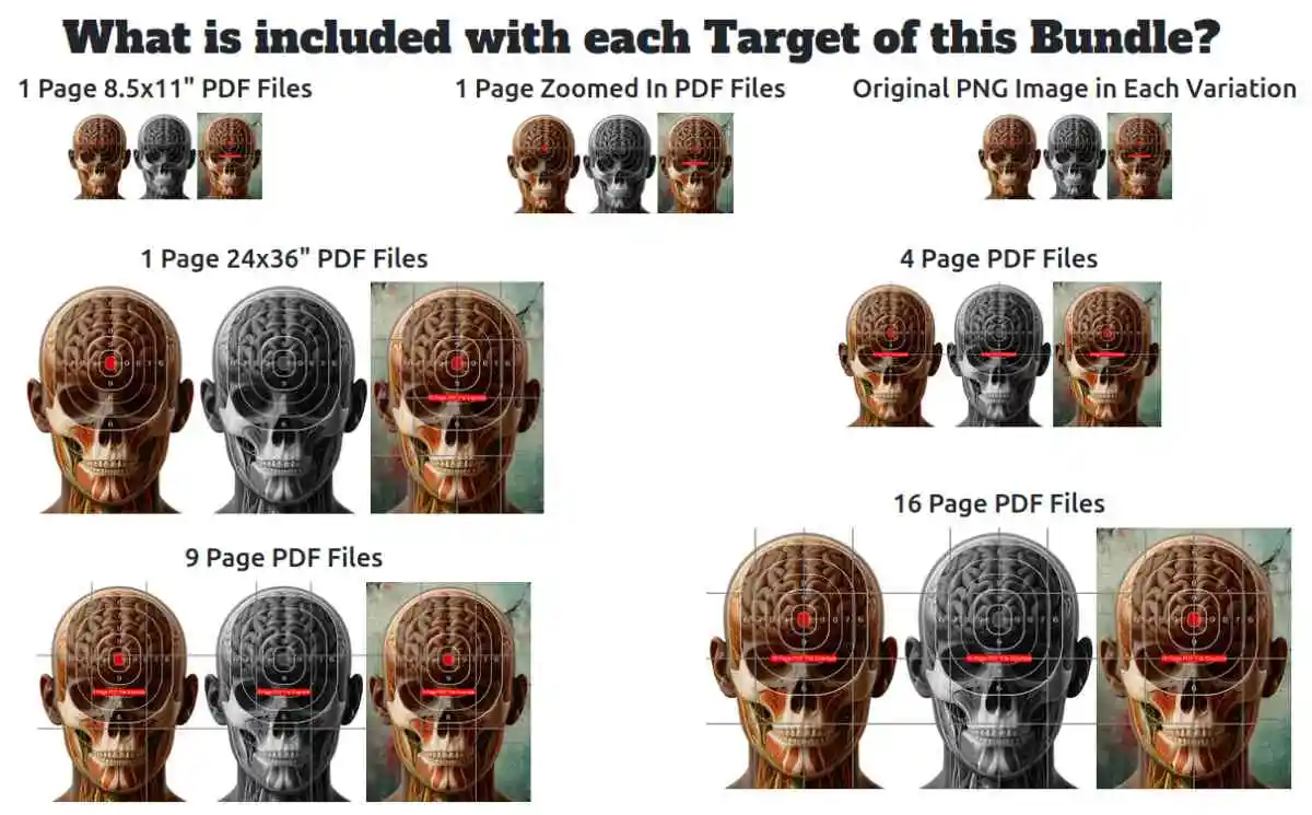 Headshot Target - what is included?